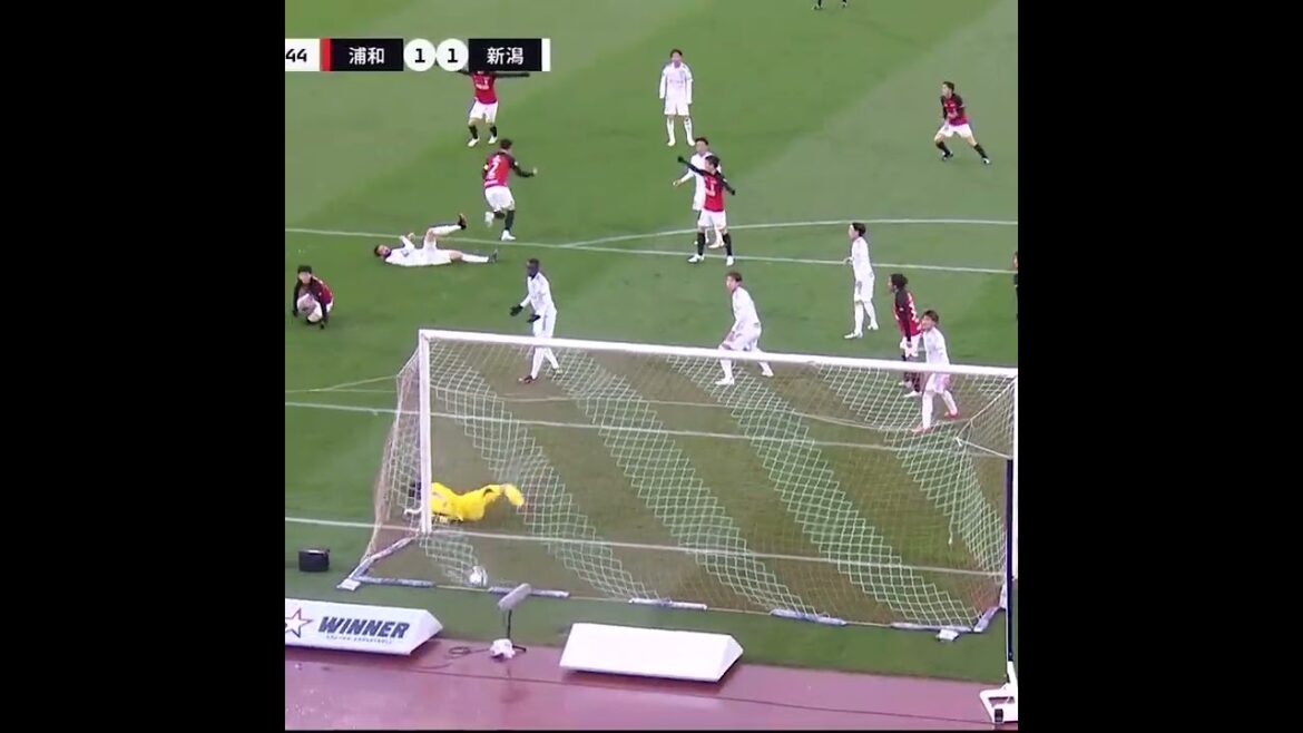 [Shootedthroughanearhigh!】SakaiHiroki'slovelylovelyGorasso🔥(GoalVideo)