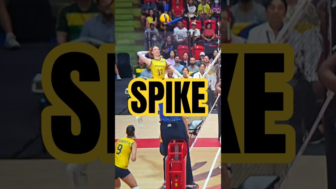Volleyball Women Brazil Super Spike France Block World Champion Gabi Slow Motion