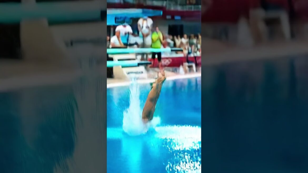 #Swimming#Olympic Games#Diving#Competition#Sports#competition