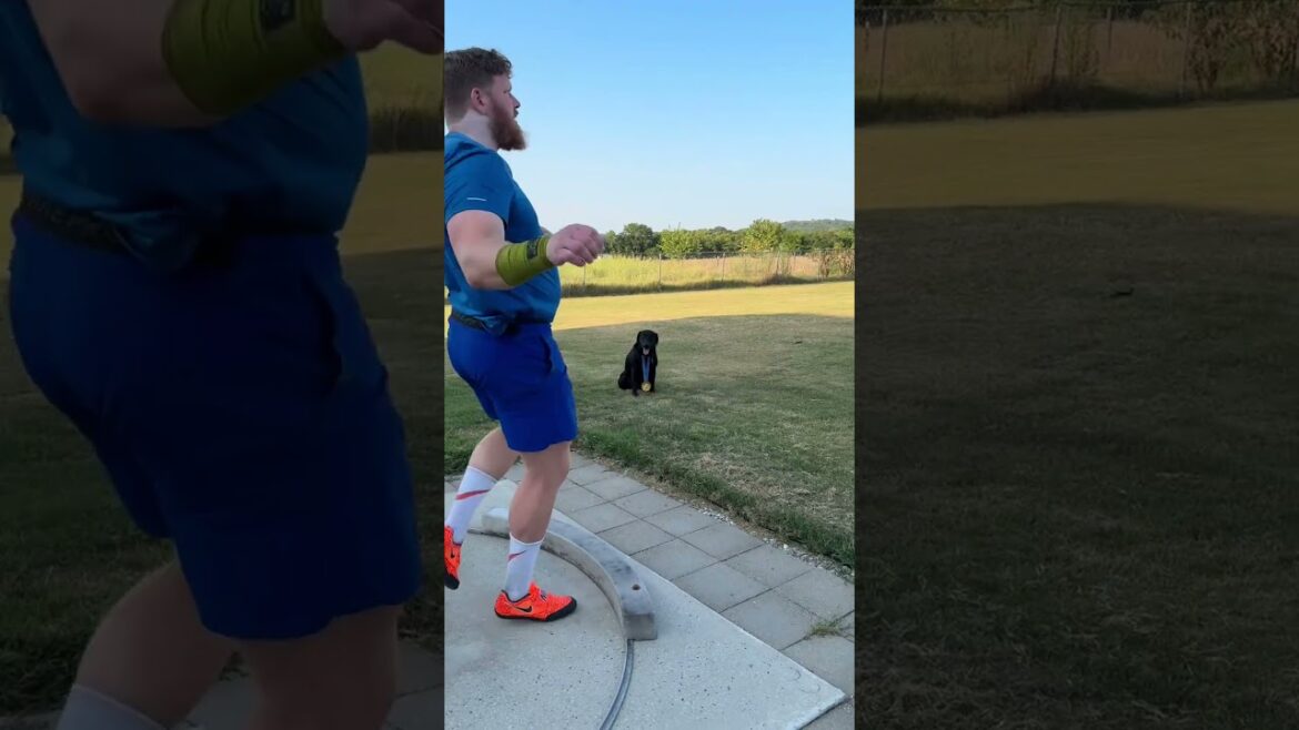 Ryan Crouser isn’t the only champ at #WorldAthleticsChamps ✨ His dog’s about to update his collar! 🐾 Ryan Crouser isn’t the only champ at #WorldAthleticsChamps ✨ His dog’s about to update his collar! 🐾