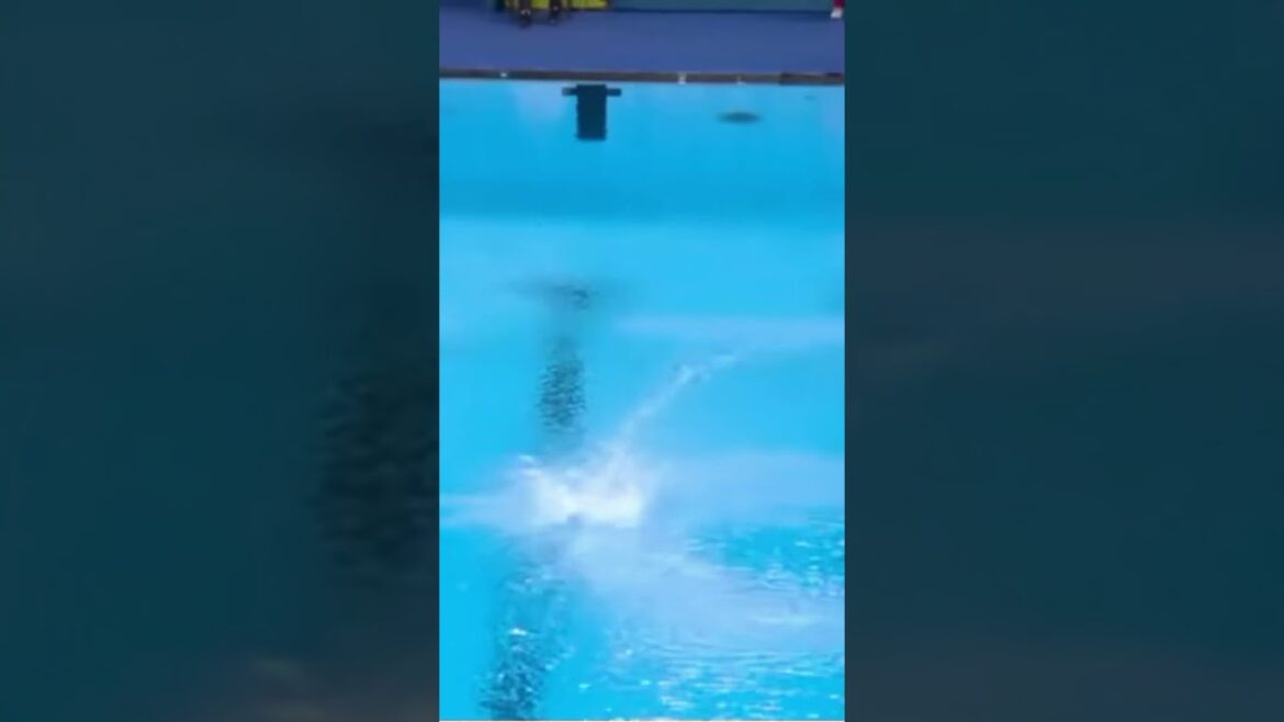 The Art of Diving – Olympic Legends in Action! The Art of Diving – Olympic Legends in Action!