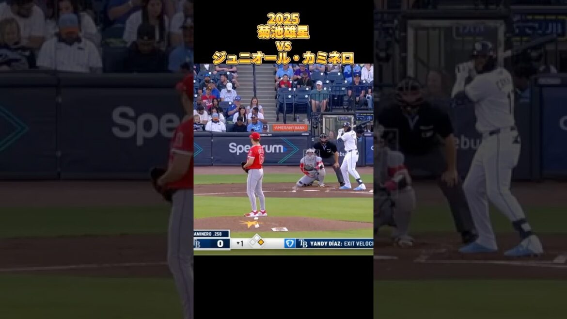 [Kikuchi Yusei]vs Junior Kaminero 2025 All pitches Yusei Kikuchi Los Angeles Angels Junior Caminero #shorts #Saitama Seibu Lions