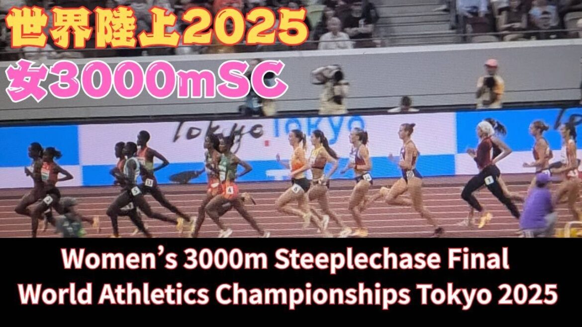 Women’s 3000m Disability Final #WorldAthletics #Women’s 3000m Steeplechase Final Women's 3000m Disability Final #WorldAthletics #Women's 3000m Steeplechase Final
