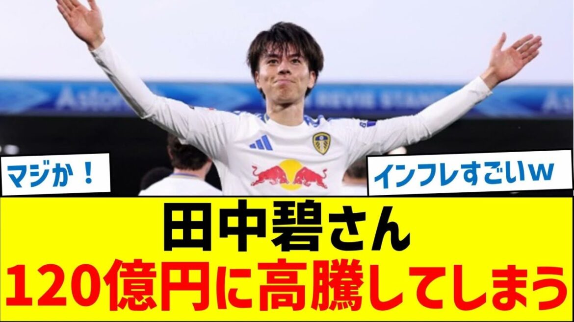 [Too high rating]Tanaka Aoi is rising to 12 billion yen