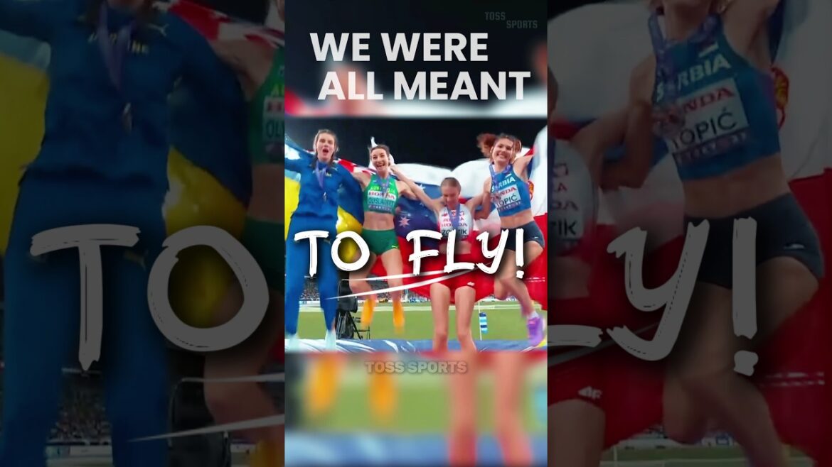 🕊️Born to Fly…OLYSLAGERS Soars the Highest! 🌟 🕊️Born to Fly…OLYSLAGERS Soars the Highest! 🌟