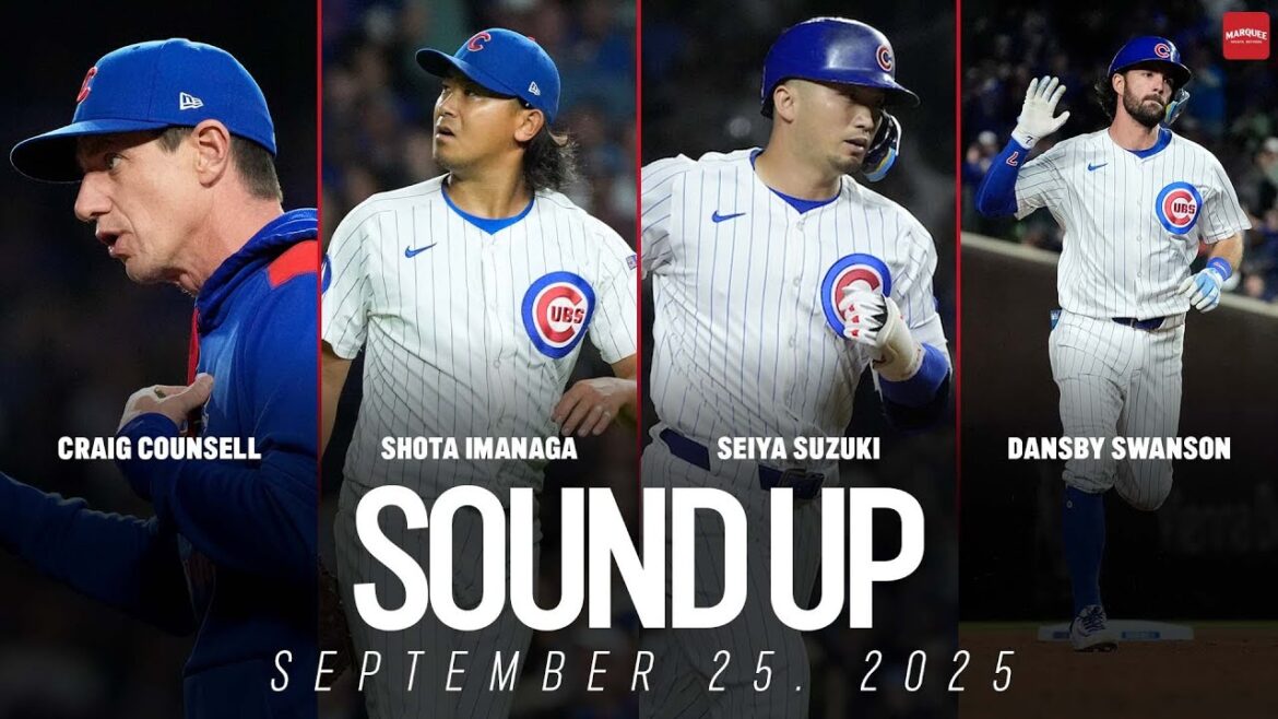 Cubs postgame interviews: Craig Counsell, Shota Imanaga, Seiya Suzuki and Dansby Swanson Cubs postgame interviews: Craig Counsell, Shota Imanaga, Seiya Suzuki and Dansby Swanson