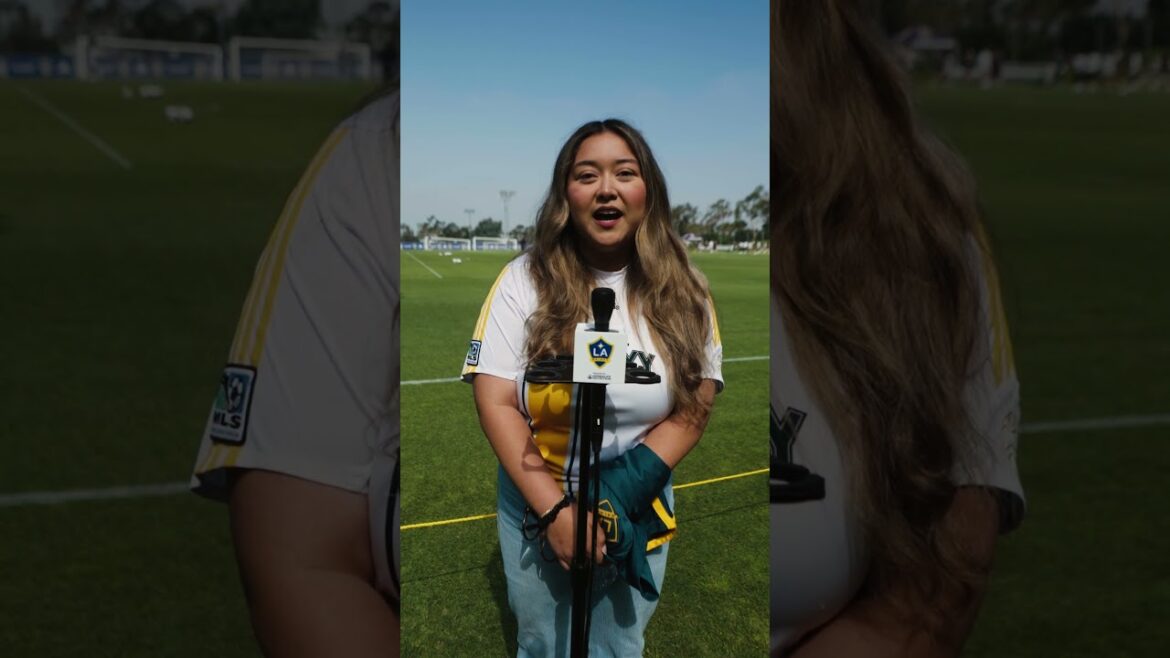 Why Do You Like Being an LA Galaxy Season Ticket Member? #lagalaxy #mls