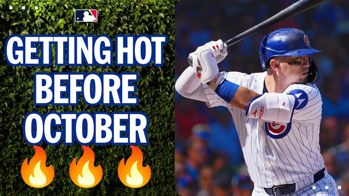 What do ya Seiya? Seiya Suzuki has 31 HR and has homered in THREE straight games 🚀 | Suzuki Seiya Highlights