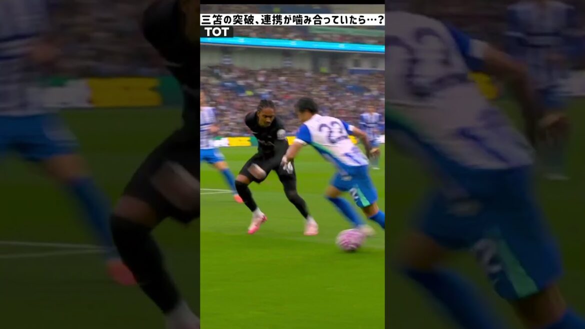 Mito Kaoru's tactics with Spins are impressive! However, a mistake in cooperation makes a missed opportunity