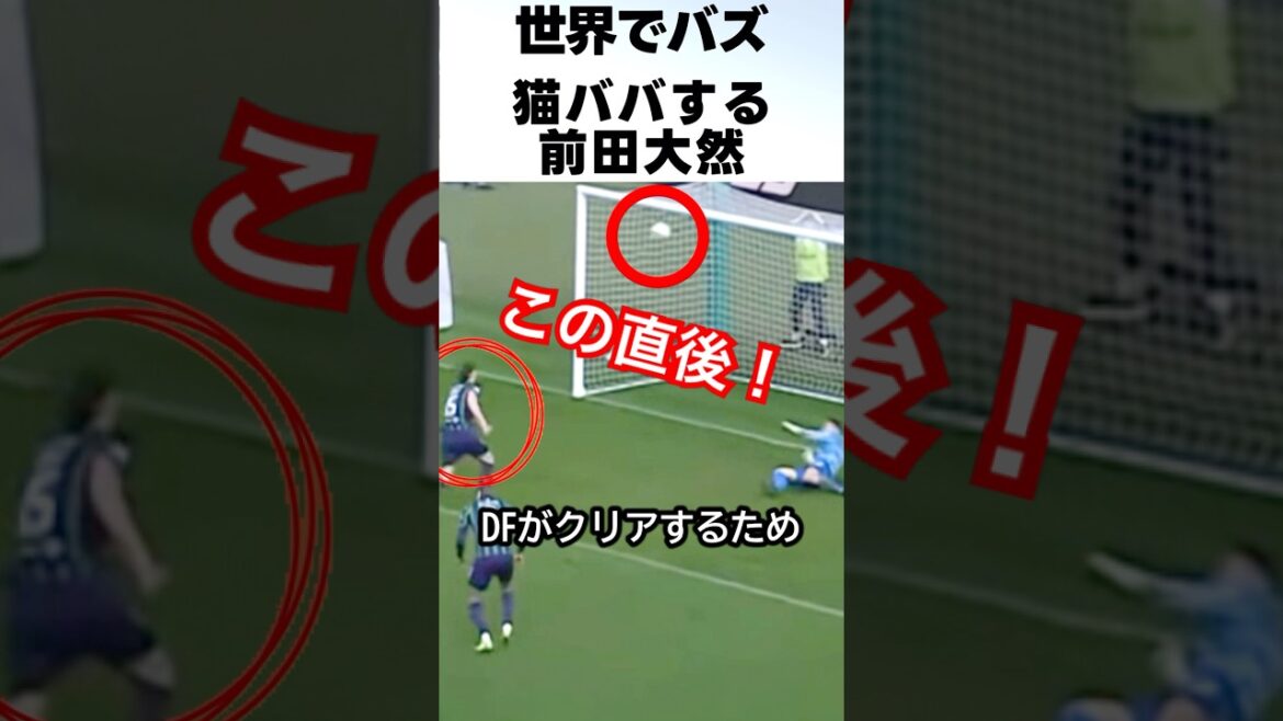 Maeda Daizen’s cat-baba goal is so fast that he’s so cool! ! #Soccer #Maeda Daizen Maeda Daizen's cat-baba goal is so fast that he's so cool! ! #Soccer #Maeda Daizen