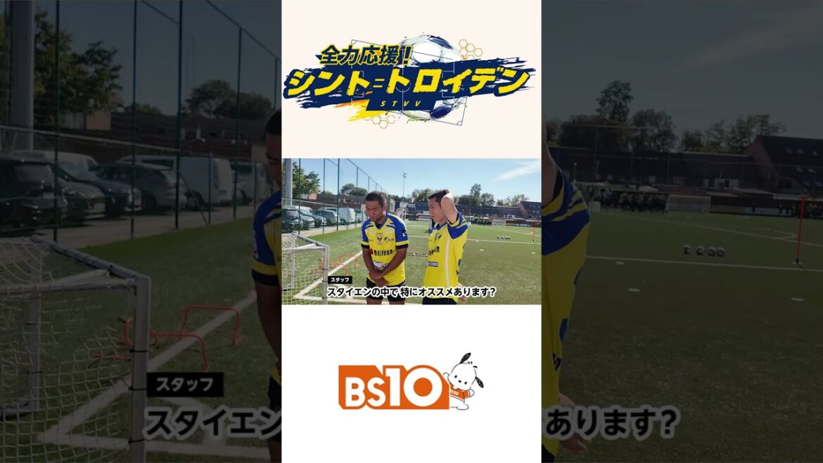 [Sint Troyden]BS10 #Hata Taiga ・ #Matsuzawa Kaito Q&A