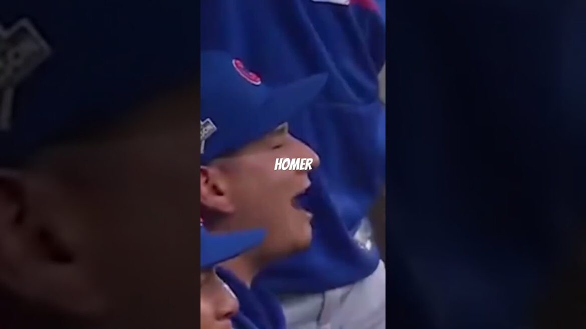 Seiya Suzuki with a 3 -run homer and the cubs first hits the game Seiya Suzuki with a 3 -run homer and the cubs first hits the game