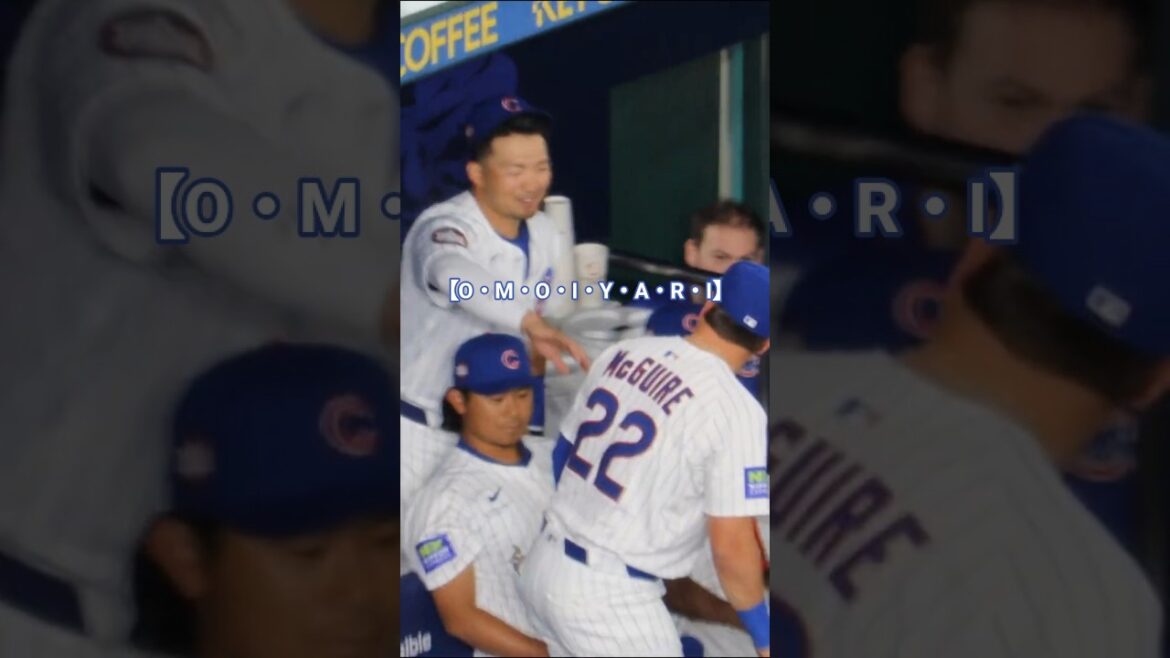 [O・M・O・I・Y・A・R・I]#Seiya Suzuki #Shota Imanaga #Cubs #Chicago Cubs #reesemcguire#tokyoseries#chicagocubs#chicago#cubs#mlb#shorts
