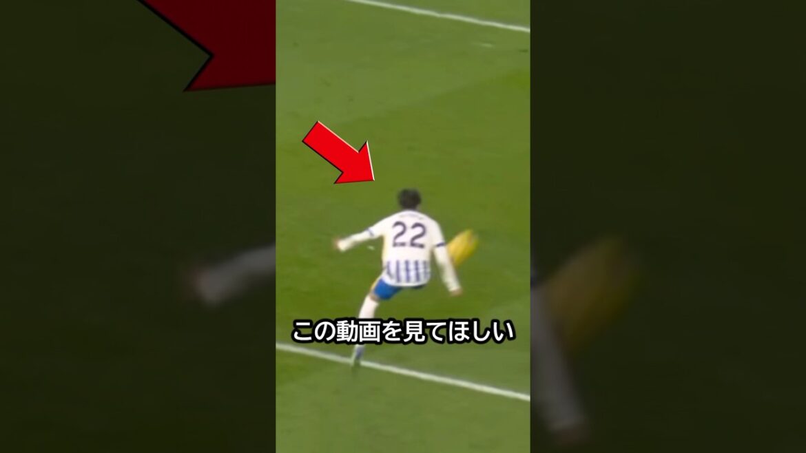 It’s teamwork! Brighton completed the goal from Kaoru Mitoma’s transcendent cross! #Soccer #Kaoru Mitoma It's teamwork! Brighton completed the goal from Kaoru Mitoma's transcendent cross! #Soccer #Kaoru Mitoma