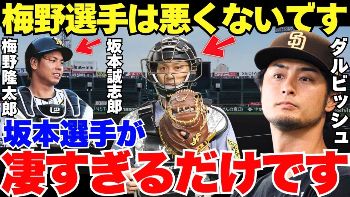 Darvish: “Sakamoto is too amazing.” Darvish puts an end to Hanshin’s catcher controversy Darvish: ``Sakamoto is too amazing.'' Darvish puts an end to Hanshin's catcher controversy