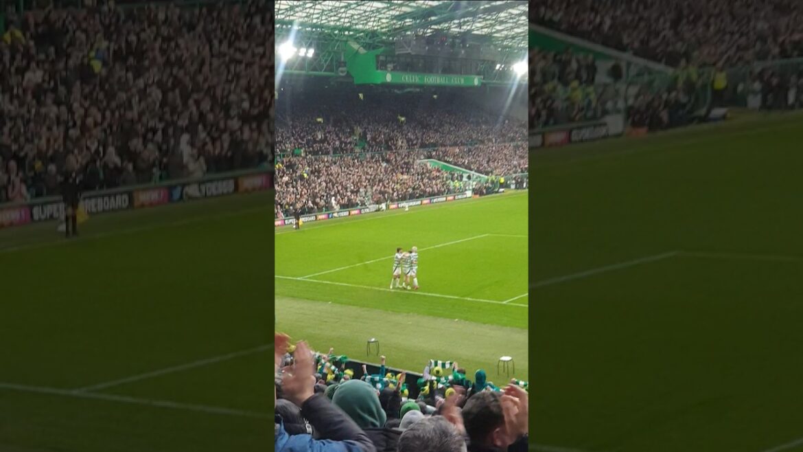 Celtic v Hearts Daizen Maeda goal #celticfans #football #footballfans #celtic #celticpark Meada song