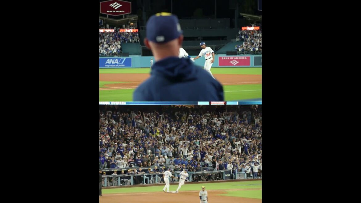 Shohei Ohtani has taken over! 😳