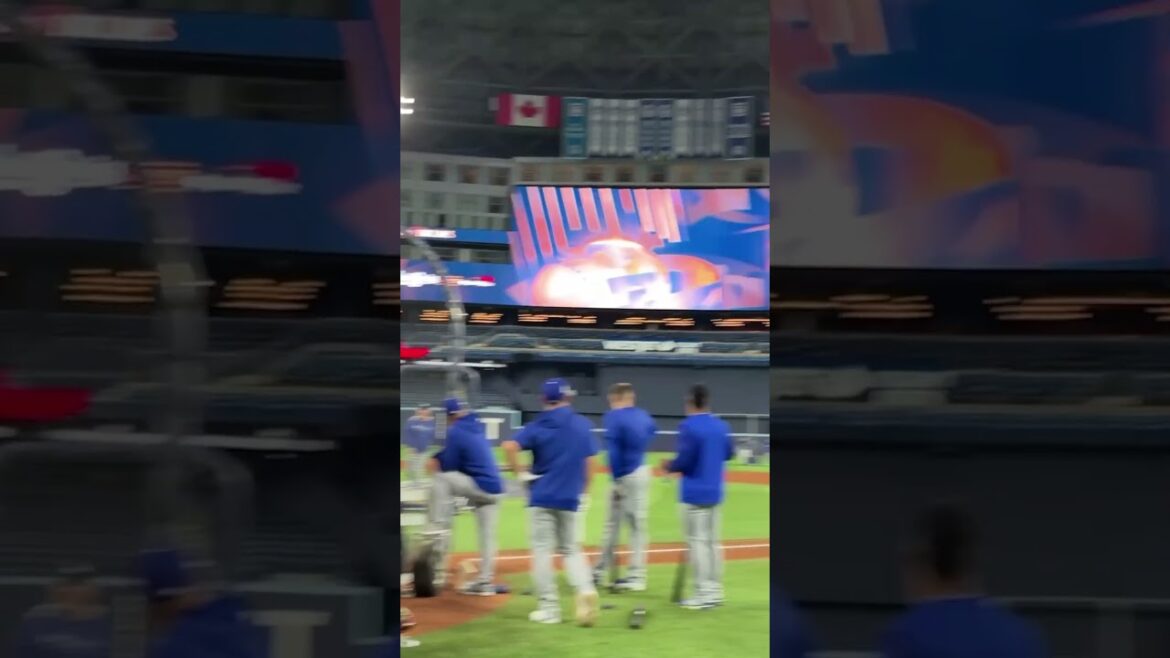 Shohei Ohtani takes BP ahead of World Series Game 1! 🔥 (that sound though 🔊) Shohei Ohtani takes BP ahead of World Series Game 1! 🔥 (that sound though 🔊)