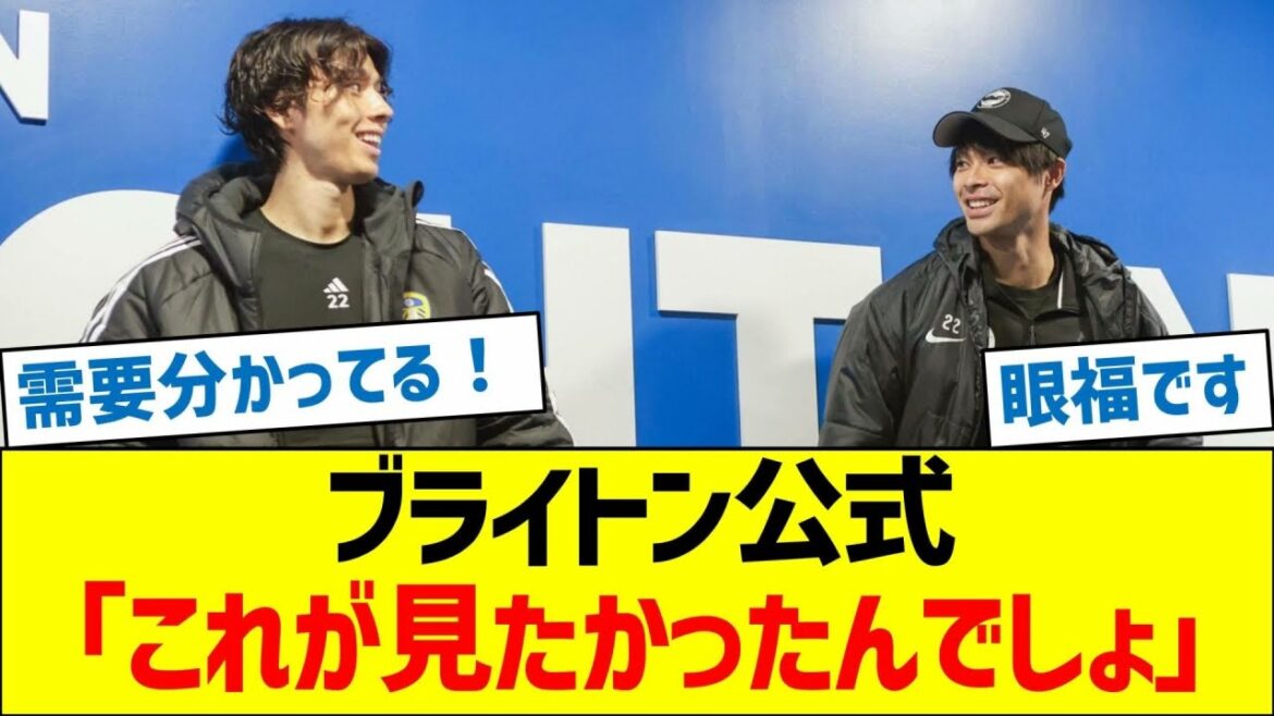 Brighton official: “This is what you wanted to see, right?”