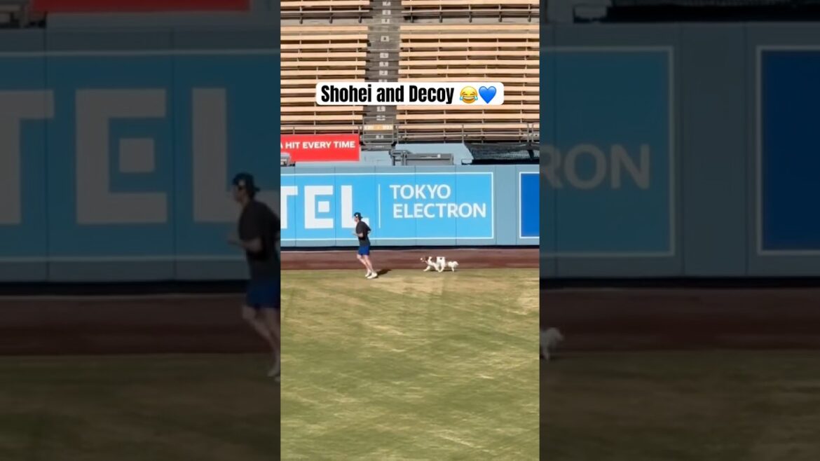 Shohei and his dog going for a run in Dodger Stadium 🫶