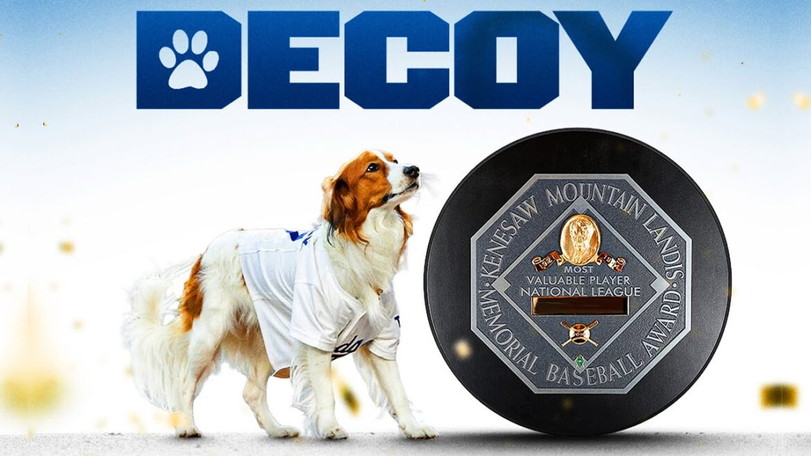 Decoy Ohtani: Most Valuable Pup! (Shohei Ohtani's dog's best moments 🥹)