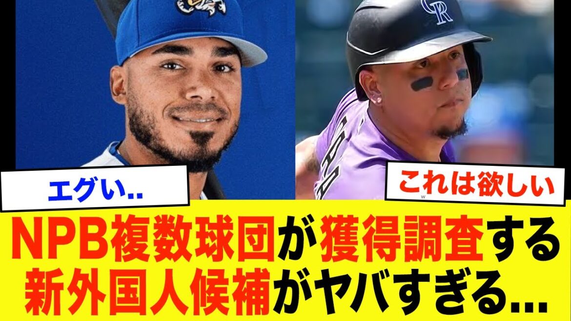 [Competition]The new foreign candidate that multiple NPB teams are investigating for acquisition is exciting...[Professional Baseball]