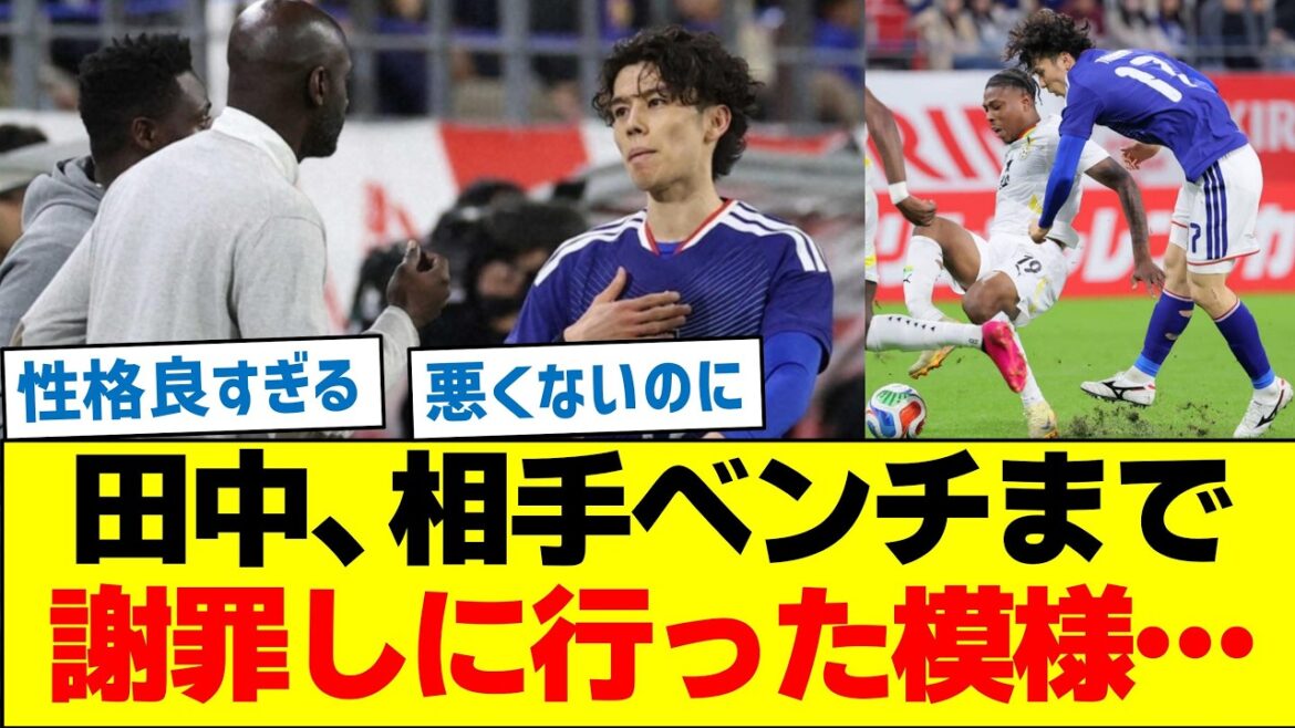 Aoi Tanaka appears to have gone to the opponent's bench to apologize...