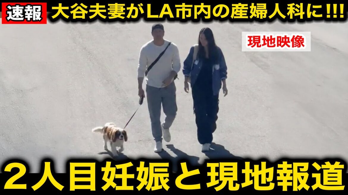 [Breaking News]Shohei Otani and his wife Mamiko go to an obstetrics and gynecology department in LA without their daughter! Local reports are making a fuss that this is her second pregnancy![Overseas reaction/Dodgers]