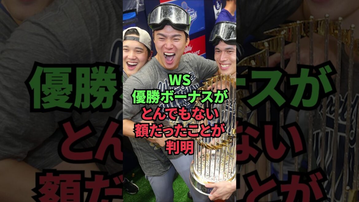 It turns out that the WS winning bonus was an outrageous amount