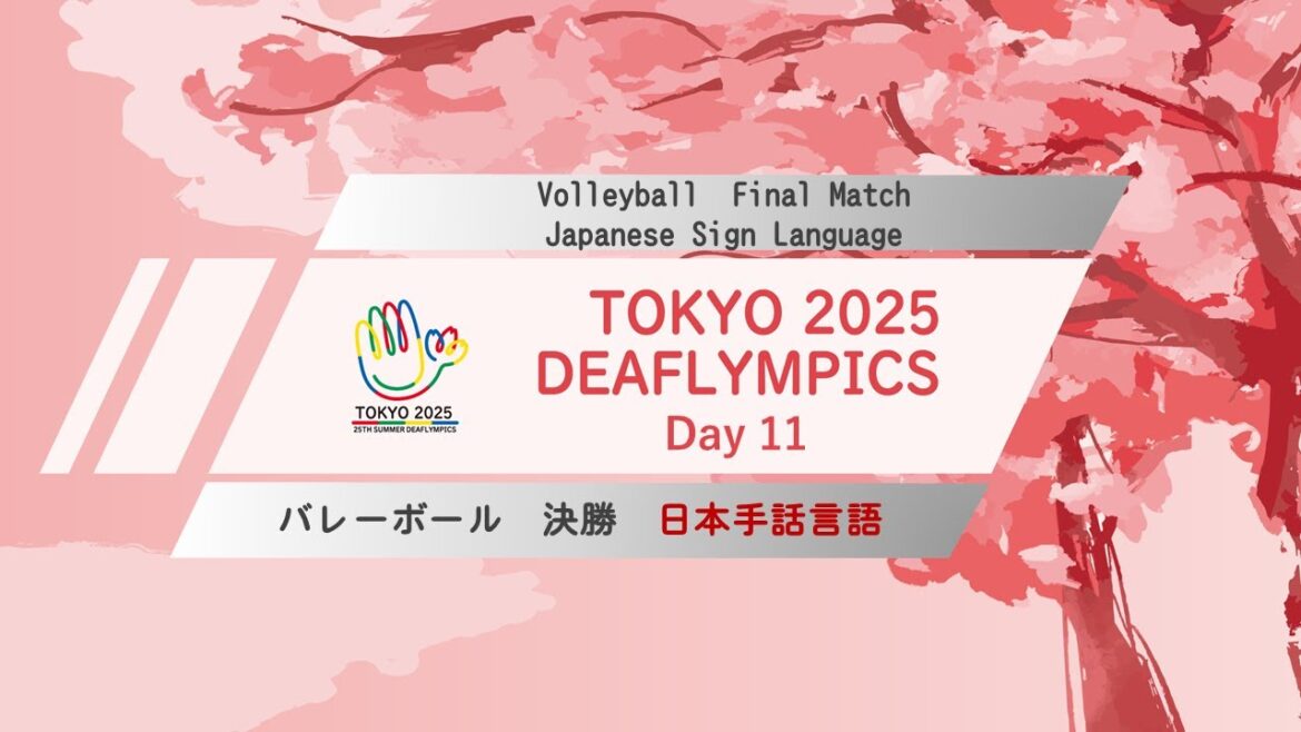 [Day 11]Volleyball Japanese Sign Language[Finals]