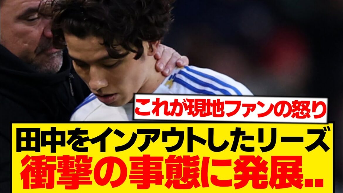 [Hell]Director Lise Falke, Ao Tanaka's compensation for in-out was too big wwwwww