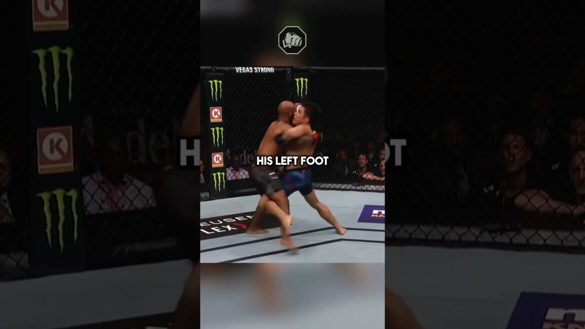 When Olympic Wrestler Meets MMA Fighter When Olympic Wrestler Meets MMA Fighter