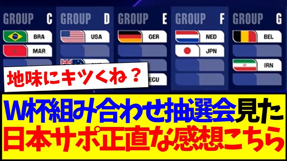 [Breaking news]Here are the real impressions of Japan Support after watching the World Cup combination lottery.