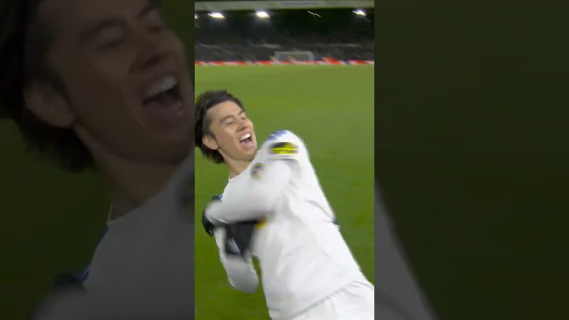 96th minute Ao Tanaka equaliser stuns Liverpool!