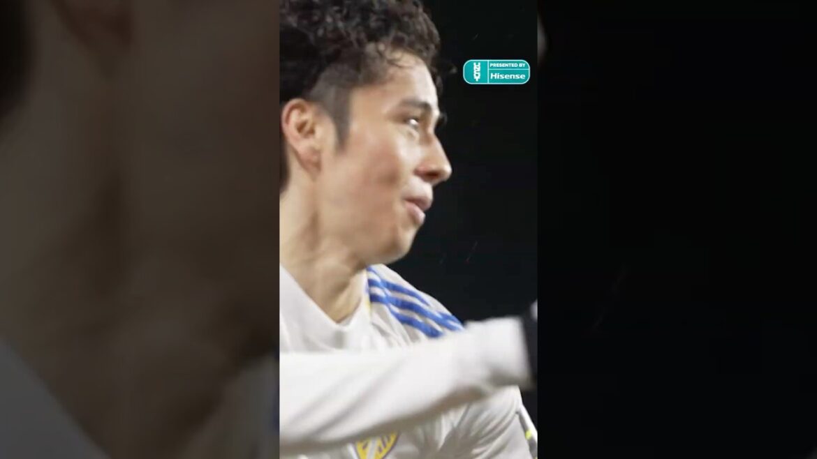 Ao Tanaka goal 🤝 Elland Road goes wild