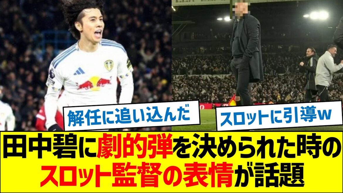 Director Slott's expression when he was hit with a dramatic shot by Aoi Tanaka became a hot topic.