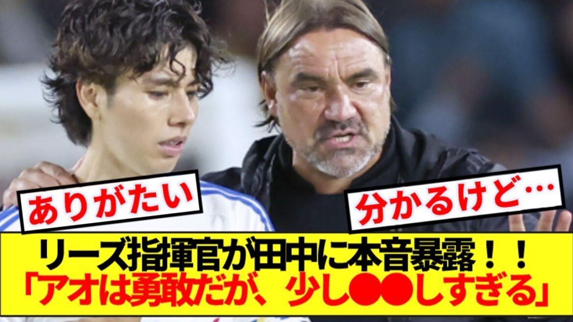 [Revelation]Leeds commander Falke reveals all his true feelings towards Aoi Tanaka wwww