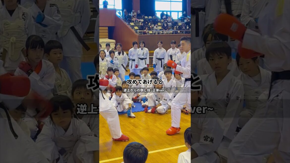 Learn from Naoto Saai, member of the Japanese national team at the Tokyo Olympics, to knock down from upside down #Tomozoo #Karate