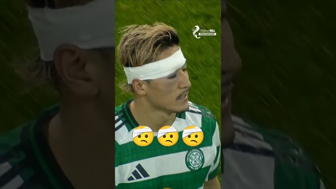 FINAL goal of Martin O'Neill era 🍀