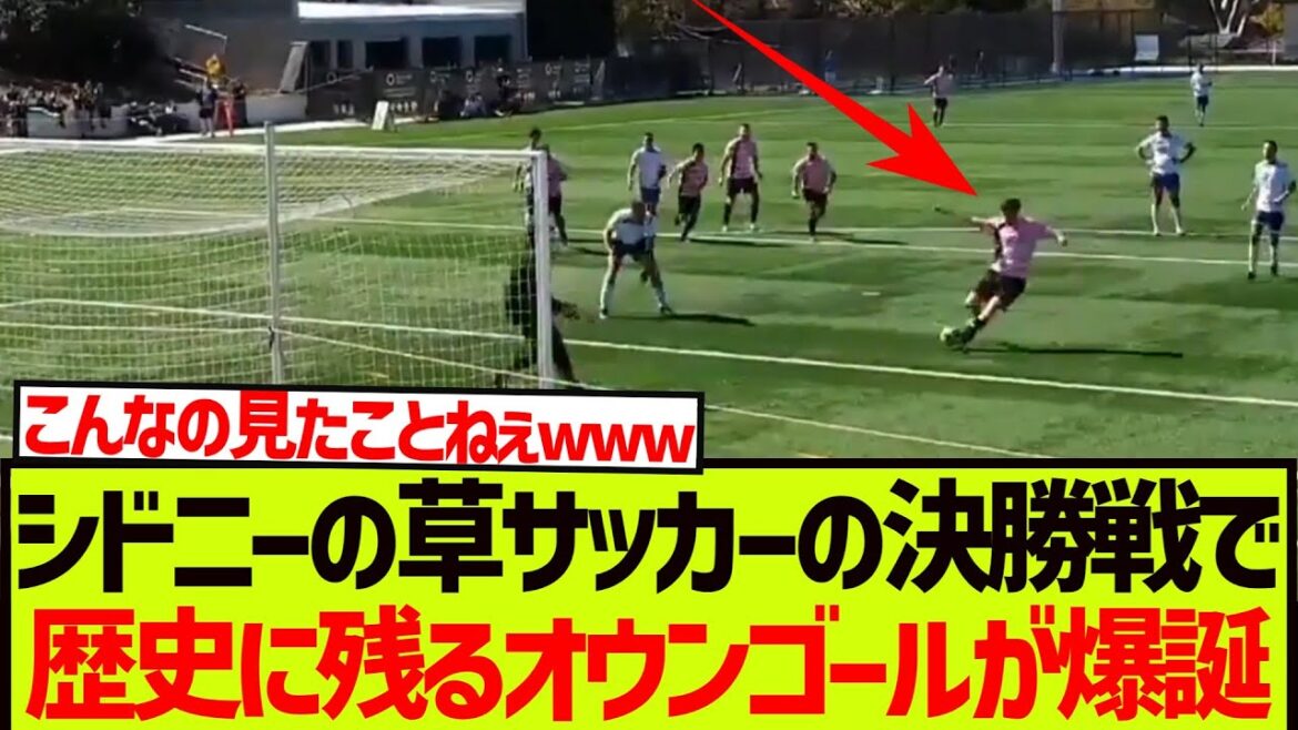 [Legend]An unbelievable own goal is scored in the grass soccer final in Sydney wwwwwww