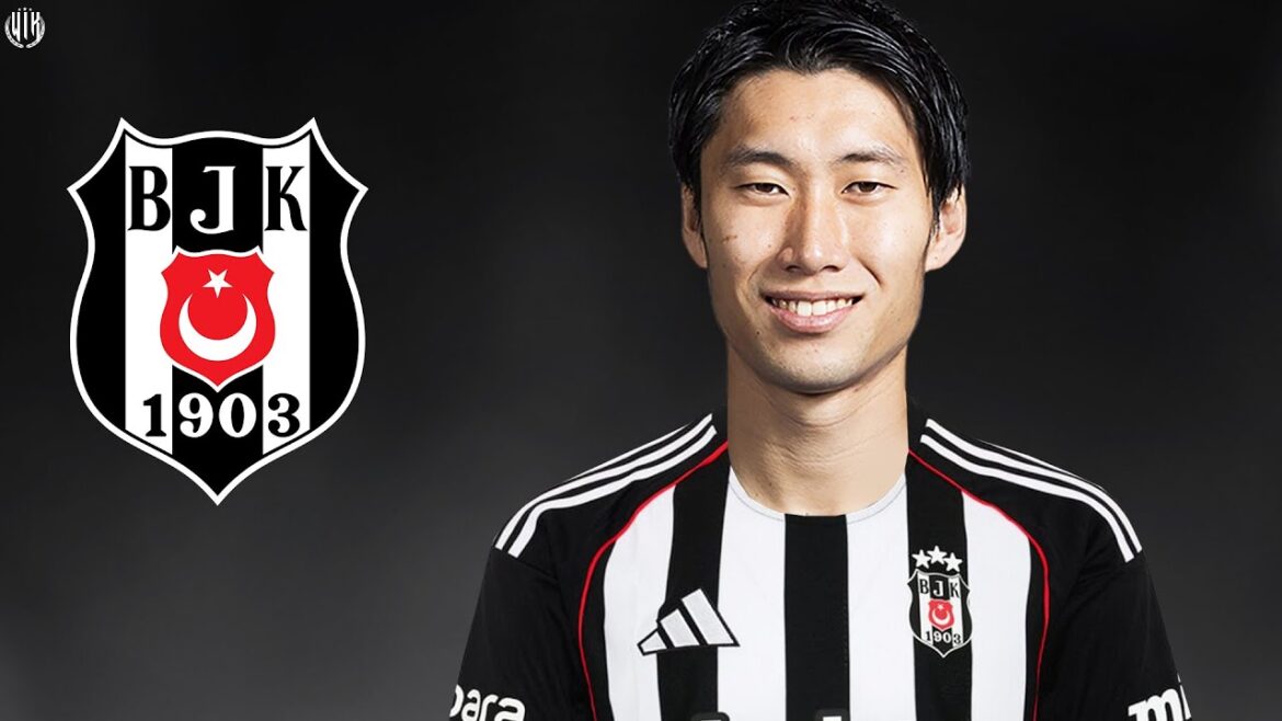 What does come come to come there -He who came to be associated? 2025-Re is a crazys & go nyone & Go | JD