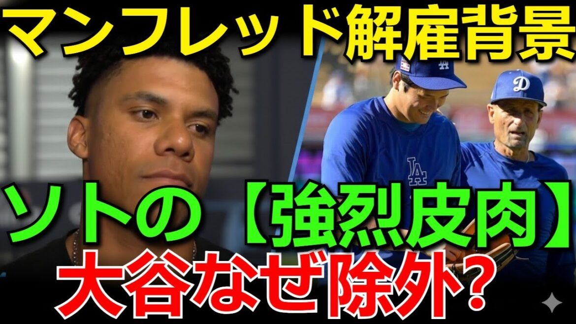 [Hot News]Why is Shohei Otani excluded? Controversy intensifies with Soto calling MLB a ``symbol of the past 25 years'' with strong sarcasm! Background to Manfred's immediate dismissal and reactions from legends