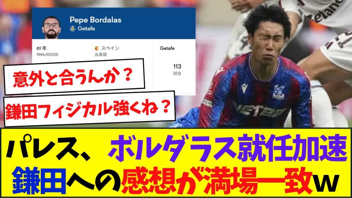 Doesn't fit with Daichi Kamata... I've been waiting for Bordalas to become the manager of Crystal Palace lol