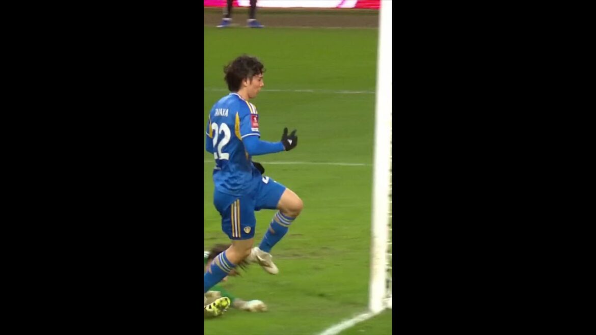 Ao Tanaka makes no mistake with goal