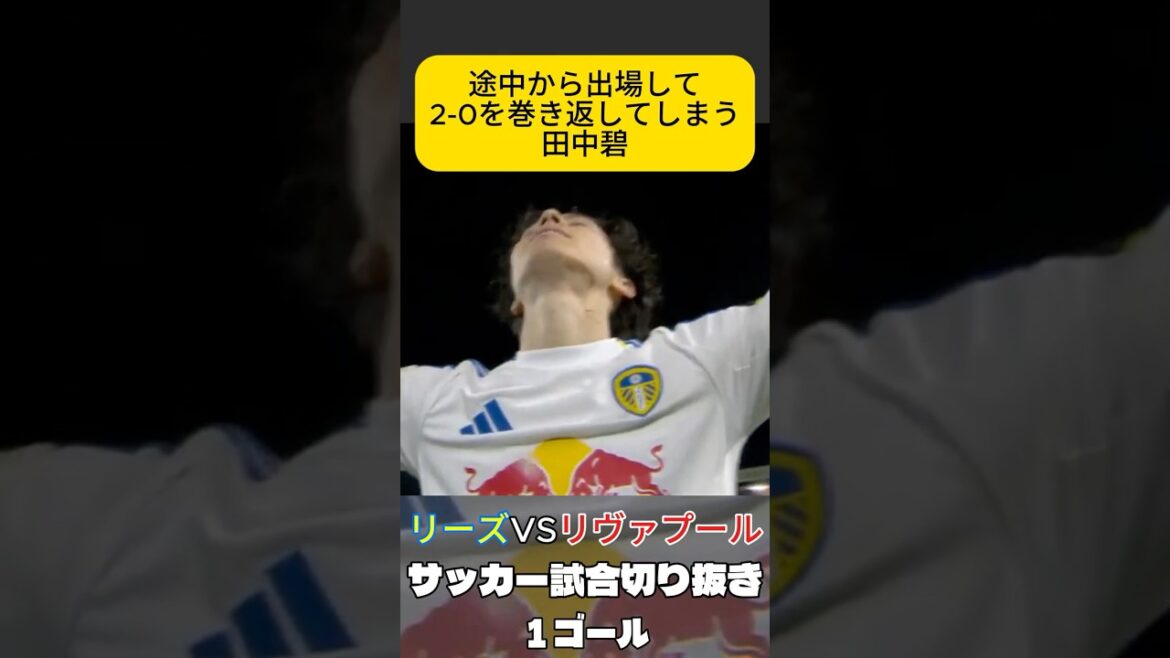 Aoi Tanaka, the goddess of victory, Japan national soccer team