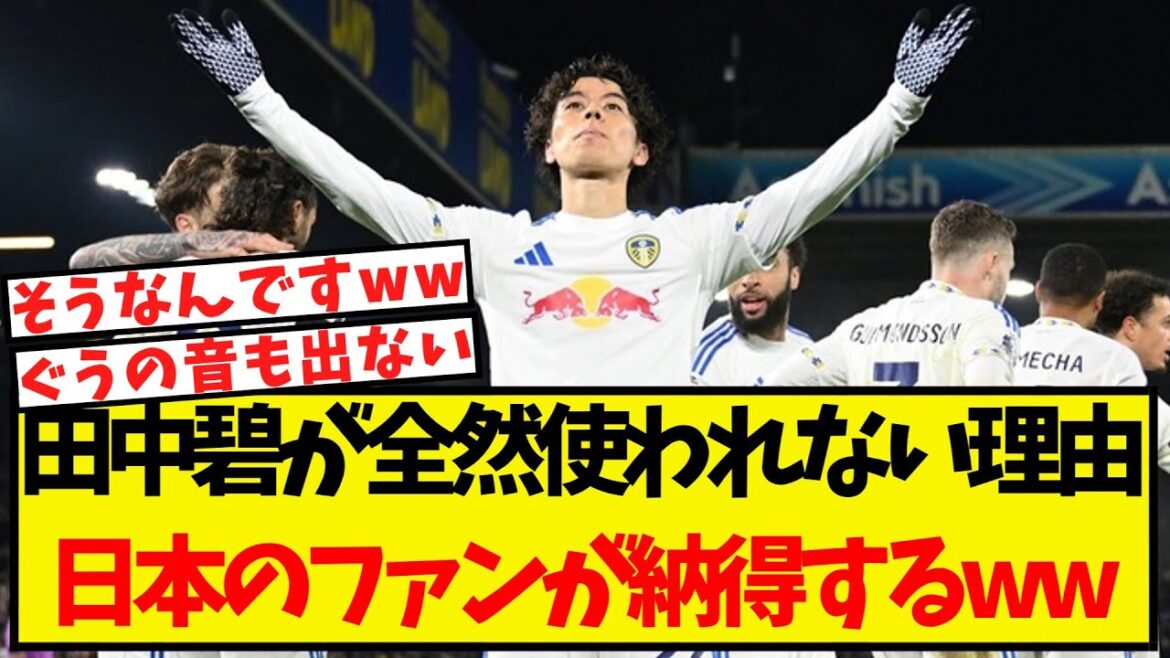 The reason why Aoi Tanaka is not used at all...Japanese fans are convinced lol