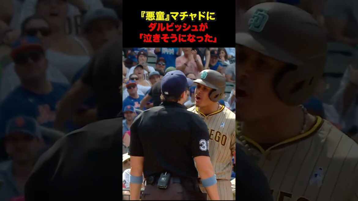 [Lacrimal gland collapse]The passionate bond between "bad boy" Machado and Darvish. Respect for Shohei Otani too