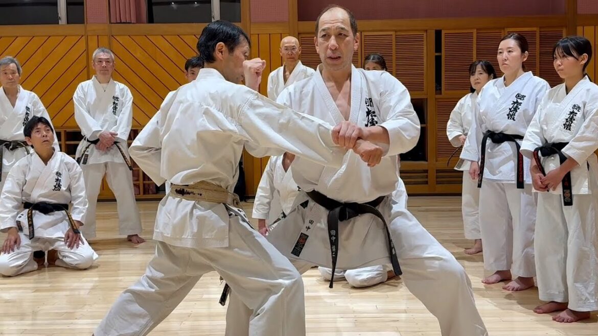 SKIF number system of YAKUSOKU KUMITE explained by Shinji Tanaka sensei  [SKIF Ogikubo Branch]