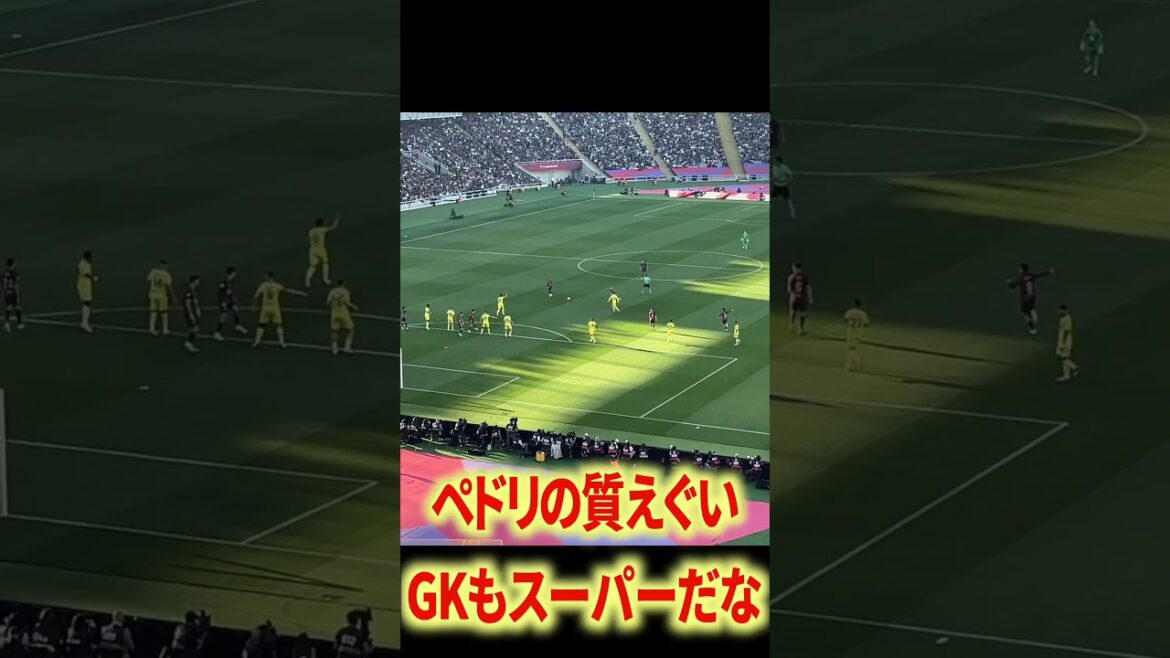 Pedri different dimension