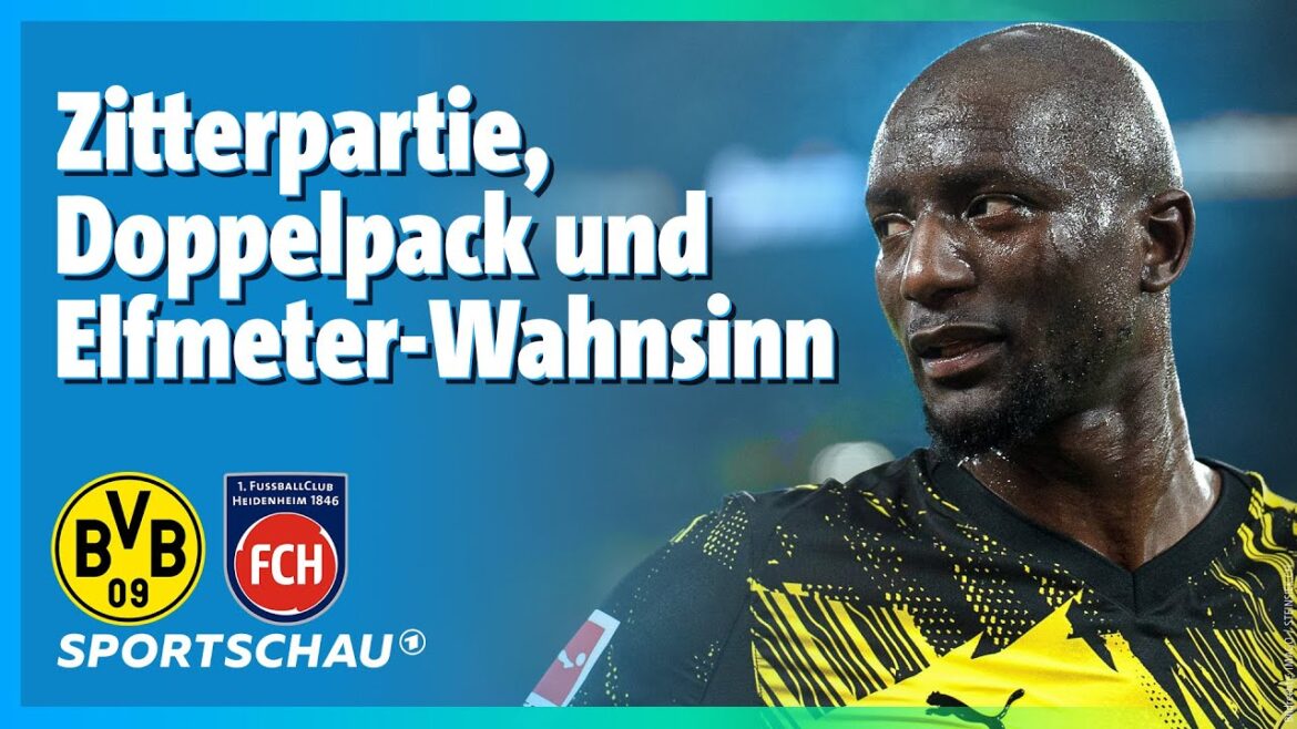 Borussia Dortmund – 1. FC Heidenheim Highlights Bundesliga, Matchday 20 | Sports show football